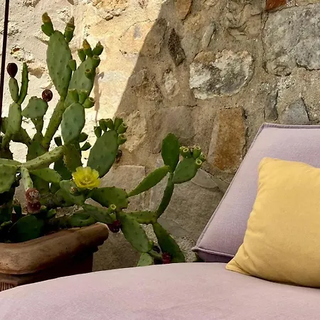 Casa La Rosa & Maison d'hôtes Courdimanche-sur-Essonnes